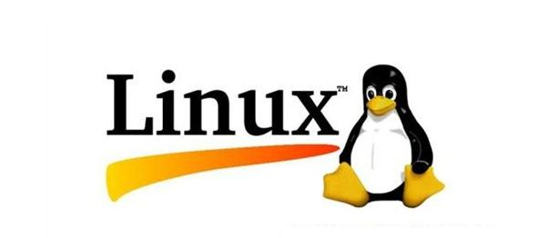 deepin linux安装器_linux视频服务器_linux 文档查看器