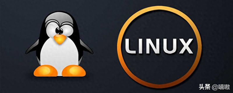 操作系统版本查询linux_linux查看操作版本_linux怎么看操作系统版本信息