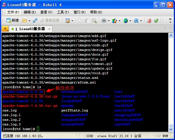 linux安装web服务器_linux安装网站服务器_linux安装服务命令