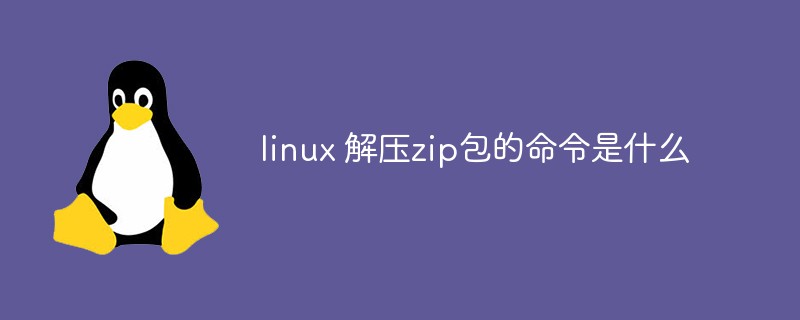 解压文件的软件_解压文件linux命令_linux zip文件解压