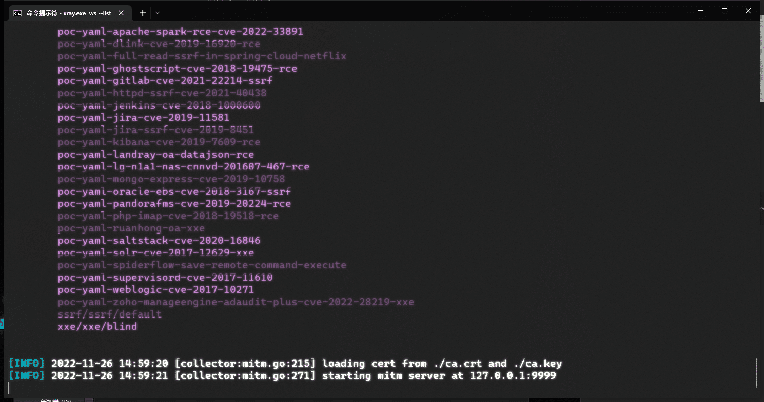 linux系统漏洞扫描_kail linux扫描漏洞_扫描asp网站漏洞