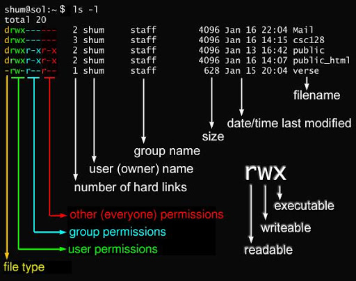 linux修改文件时间戳_linux修改文件时间_linux修改文件修改时间