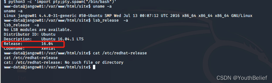 linux操作系统安装php环境_linux php环境搭建_php搭建环境linux