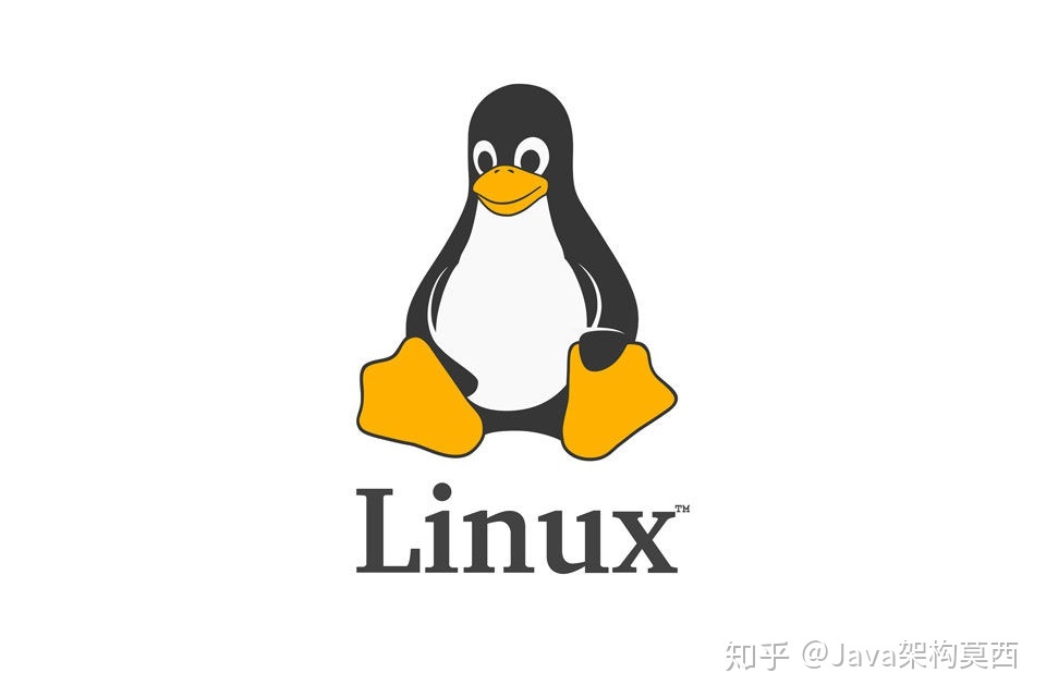 linux用户分配权限_linux 查用户 组的权限_linux 查用户 组的权限