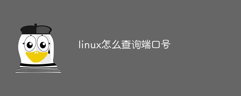linux服务器查看应用端口_查看21端口号命令_linux查看应用端口号